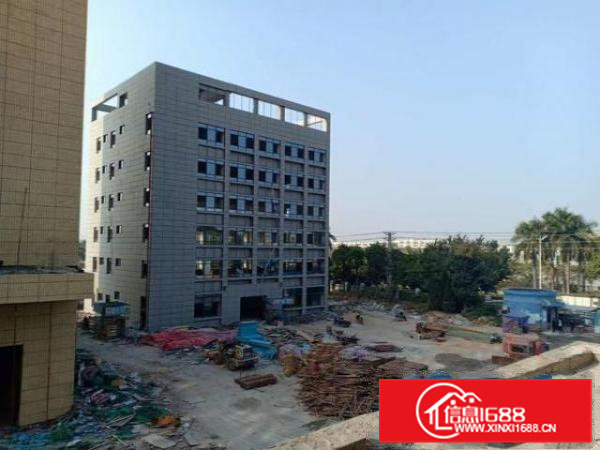 桥头镇新出独院厂房一楼8米高