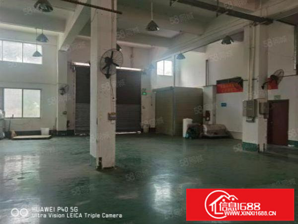 观澜茜坑龙观快线边一楼1250平方，带装修，水电齐全