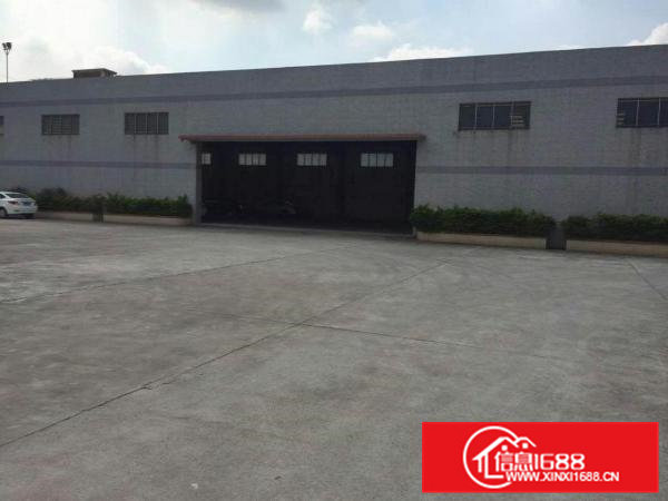 石排新出大型单一层厂房2000平方出租