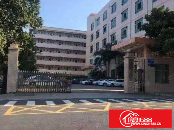 坪山坑梓比亚迪旁楼上2楼260平米厂房出租