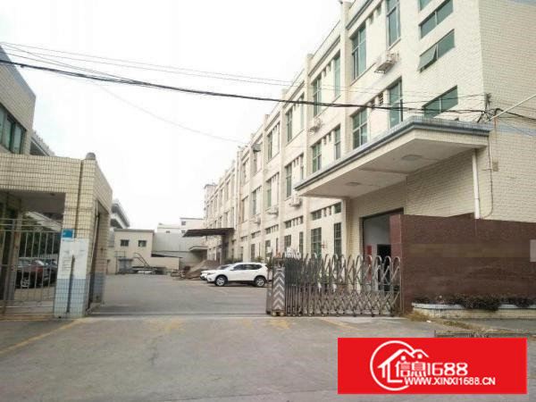 清溪新出独院精装修厂房2500平，形象靓，交通方便