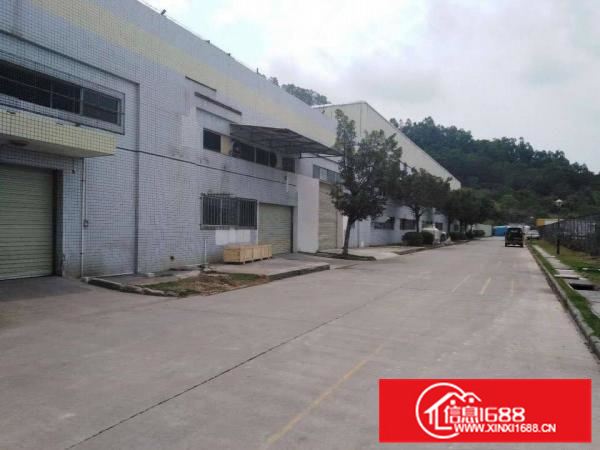 原房东全新带红本钢结构厂房出租