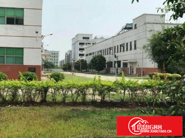 大岭山原房东独院厂房出租