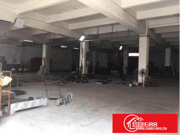 龙岗区龙岗大道新出一楼厂房700平米招租