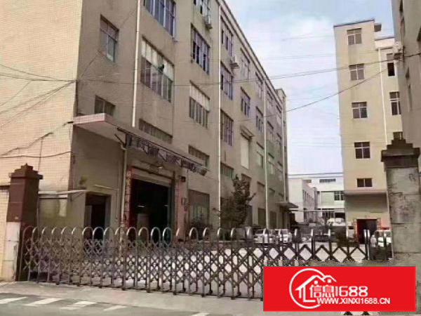 坪山附近新出一楼810平方招租整租带装修消防喷淋