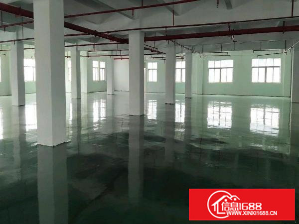 大朗全新厂房对外出租