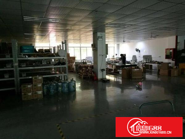 平湖新木新出1楼1500平方厂房急租
