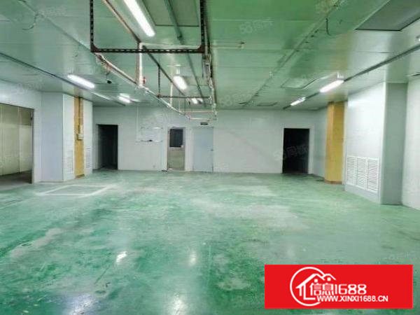 沙头新出二楼1680平豪华办公室装修，空地大交通方便