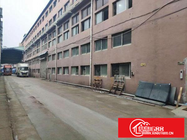 桥头镇新出原房东标准豪华装修水电齐全厂房