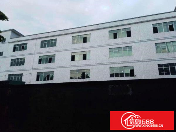 横岗2000平至8500平可分租独院厂房