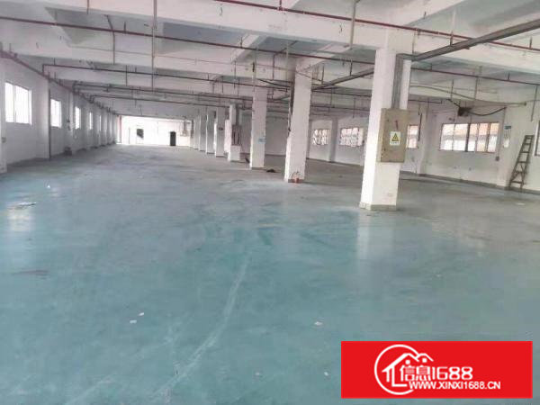 石排福隆原房东标准厂房3层7350平方招租，空地超大