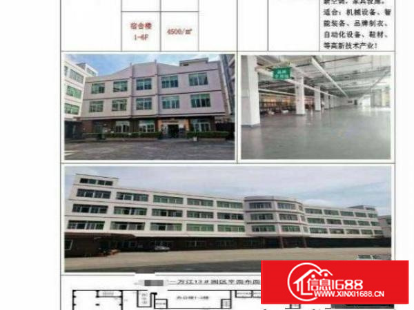 万江新出热门厂房，上市公司形象