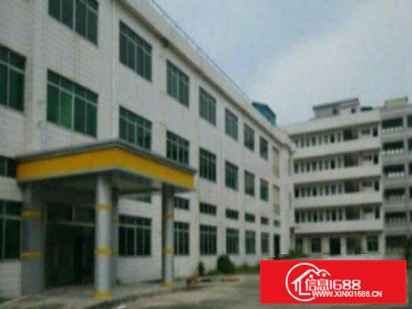 高埗标准厂房1000平方带办公室装修好招工交通方便