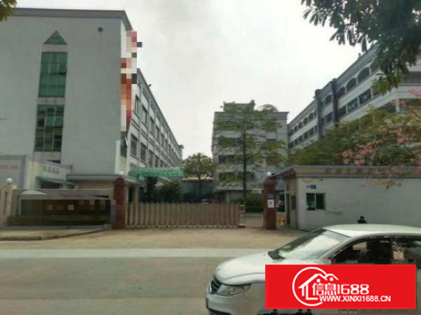 石碣镇原房东独院8700方