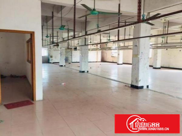 圆山大道边上的小厂房