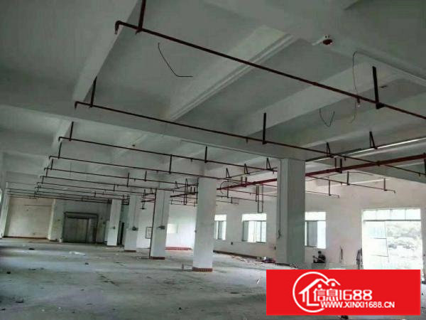 横岗荷坳带消防喷淋的厂房一栋单层1200平租16元水电齐全