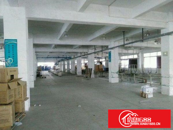 出租龙岗区爱联?楼上1500平方有电梯