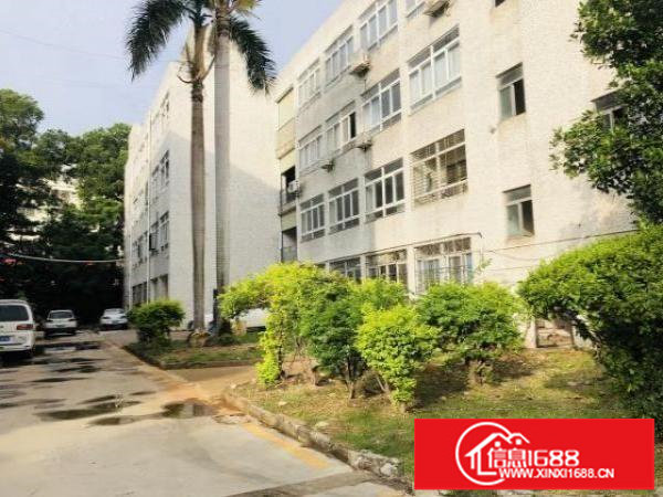 观澜福前路一楼厂房出租500平方带办公室