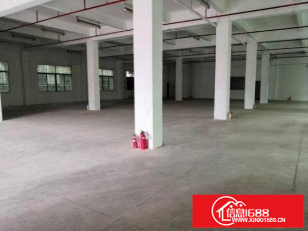 坪山新区曾屋村分租1楼400平方