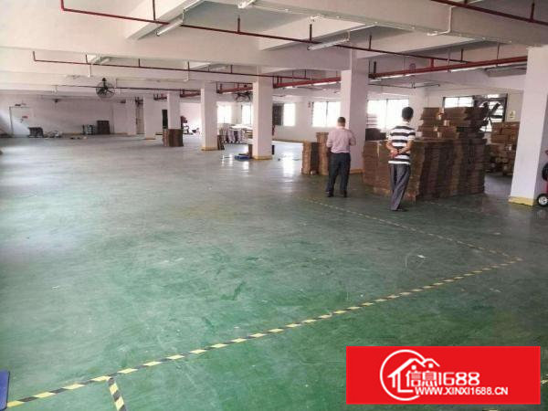 降价了，大朗原电子厂分租一二楼共计3200方，租15元带装修