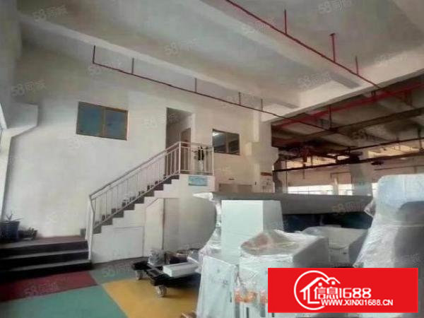 桥头原房东7米高一楼厂房1500平方，消防喷淋，主线到位