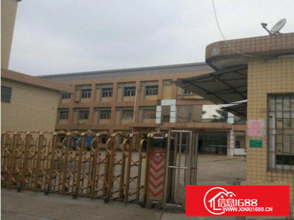 谢坑工业区标准独院1-3层楼房4000平方出租近主干道