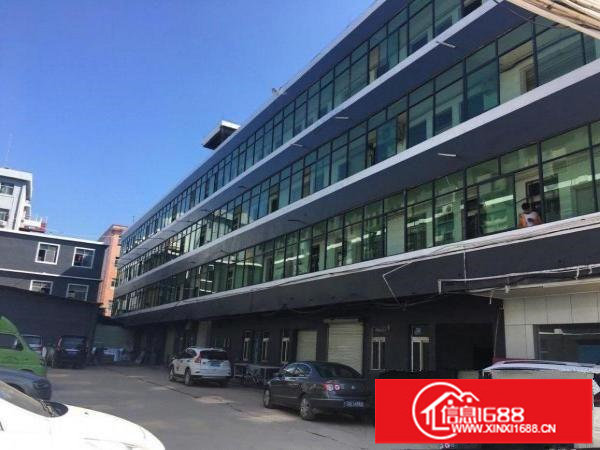 横岗大康一楼390平方带精装修厂房出租