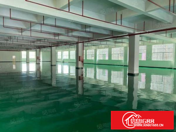 凤岗全新厂房楼上一整层4000平方，全新地坪漆，了分租