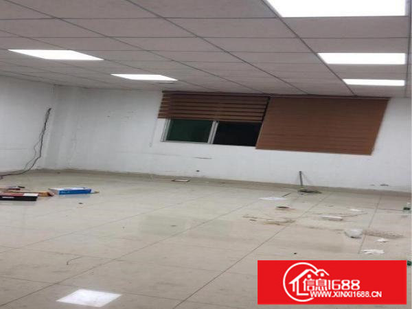 坪山比亚迪旁边原房东600平一楼厂房出租。层高5米