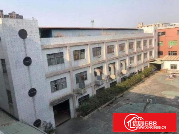 大朗巷尾新出精美独院8370平，带铁皮房2000，可整租分租