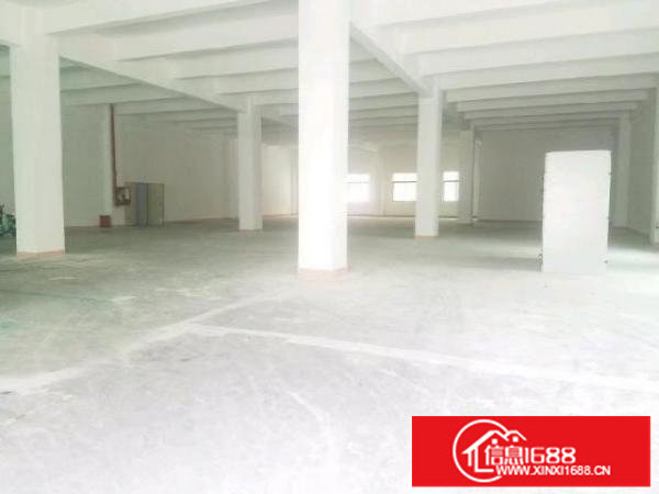 出租丨大浪商业中心附近一楼1745平方厂房大小可分停车位充足