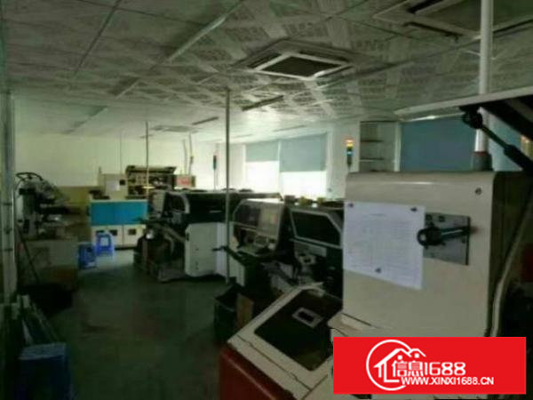 龙岗新出带装修厂房二楼1100平房东出租