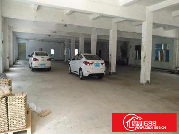 坪山大道比亚迪旁原房东800平一楼厂房出租高5米