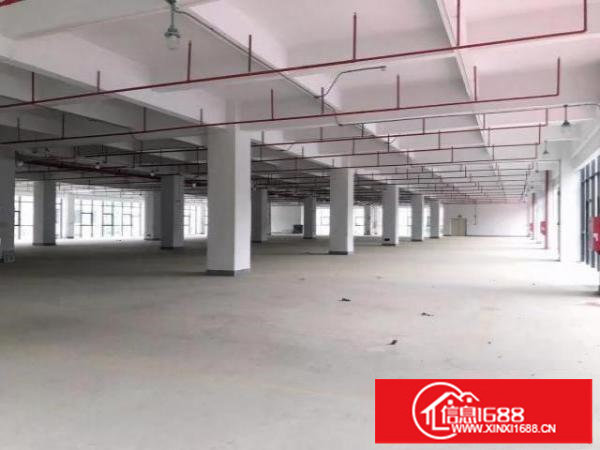 龙岗中心城2500平原房东红本商业消防