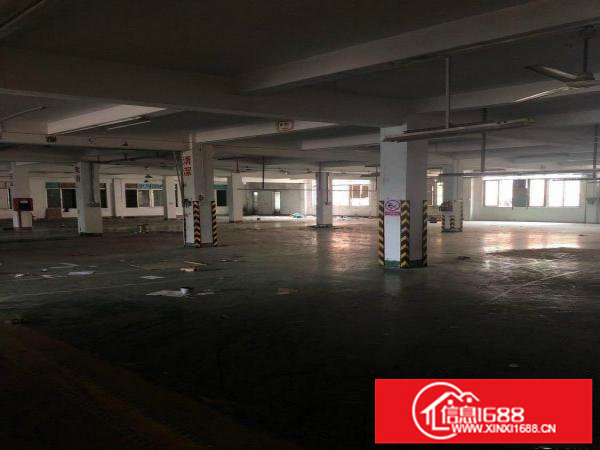 坪地坪西印刷基地厂房1200平米