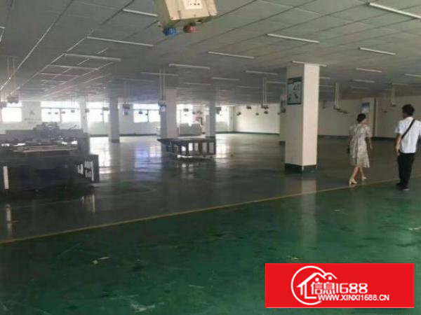 沙井107国道东环路一楼1200平二楼800无公摊原房东