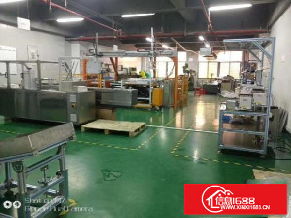 出租高埗镇高埗城区300平方厂房，精装修