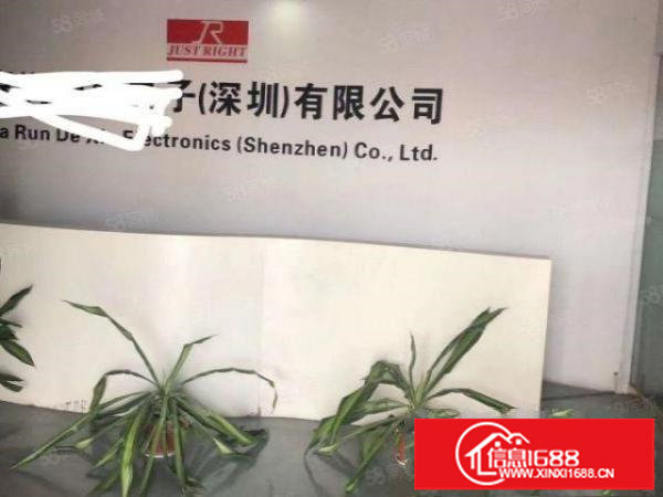 观澜环观中路万安小学轻轨站旁厂房出租1700平方免装让费