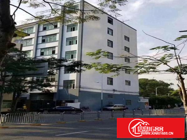 杨美地铁口电商园拎包办公厂房200平300平到1200平招租