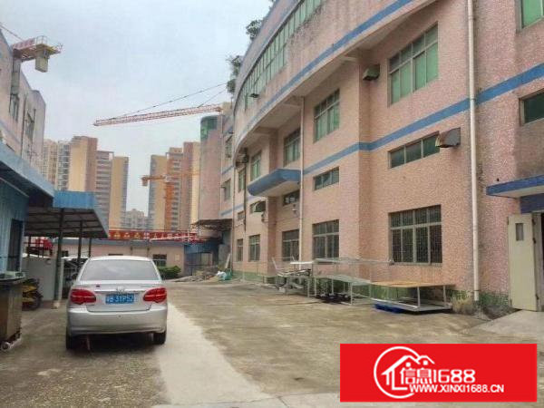 横岗刚出独门独院5000平方厂房出租采光好可分租