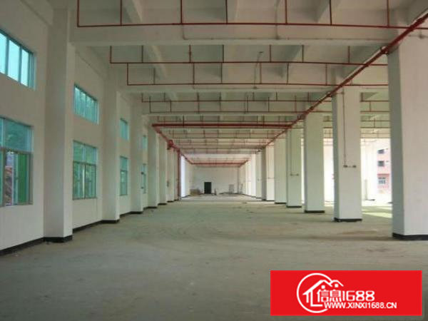 凤岗一楼8米高1500平方厂房招租可以分租