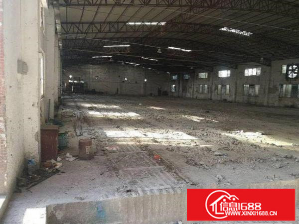 平湖新出独院钢构厂房1800平方可分租