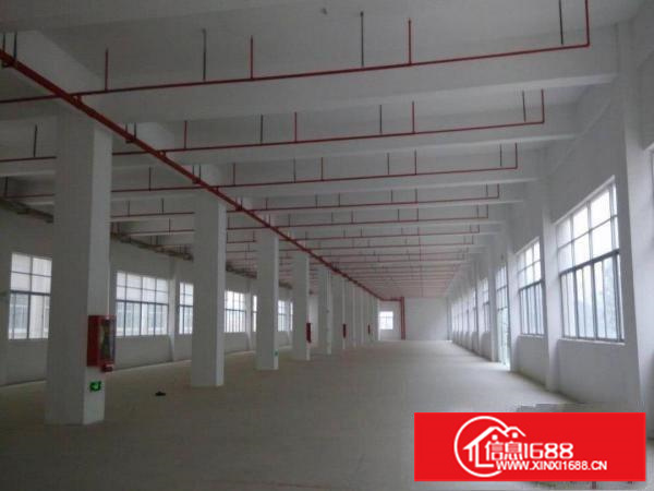 大浪服装基地新出4楼整层原房东1100平出租形象好