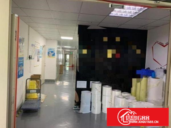 观澜新田创新工业园原房东厂房出租可分租！