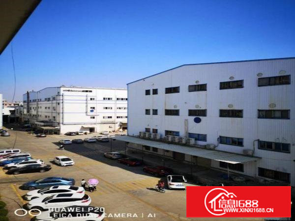 东坑彭屋带红本厂房300平，消防合格两台3吨标准货梯