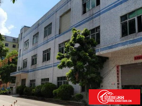 龙岗爱联大工业区6500小独院厂房水电齐全出租可整租可分租