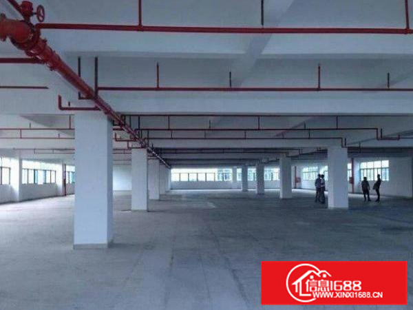 实用率高！官窑吴屋新出原房东独院800平方厂房无杂费