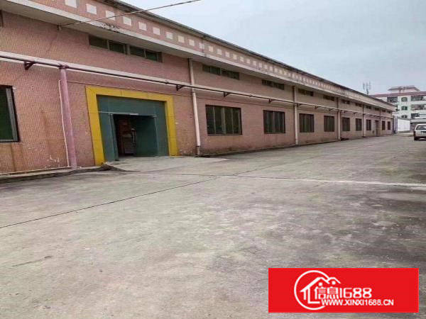 塘厦桥陇新出钢构厂房1600平中间无柱子滴水8米