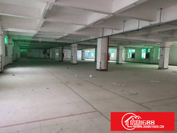 横岗六约独院厂房5000平，带珠宝装修厂房便宜出租