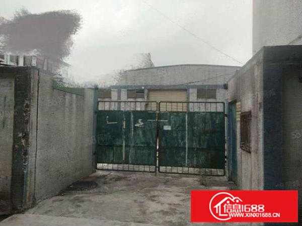 可办环坪向东新出独门独院单一层800平厂房出租滴水高7米